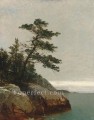 El viejo pino Darién Connecticut Luminismo paisaje marino John Frederick Kensett